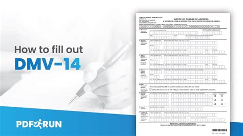 Change Information on DMV Photo Documents .